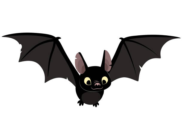 bat