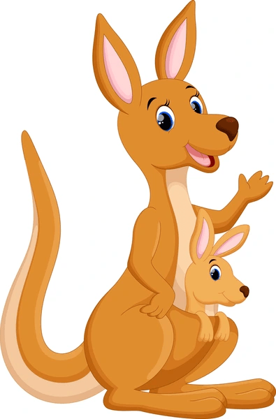 kangaroo