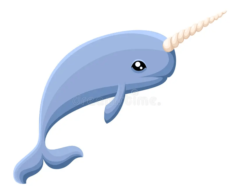 narwhal