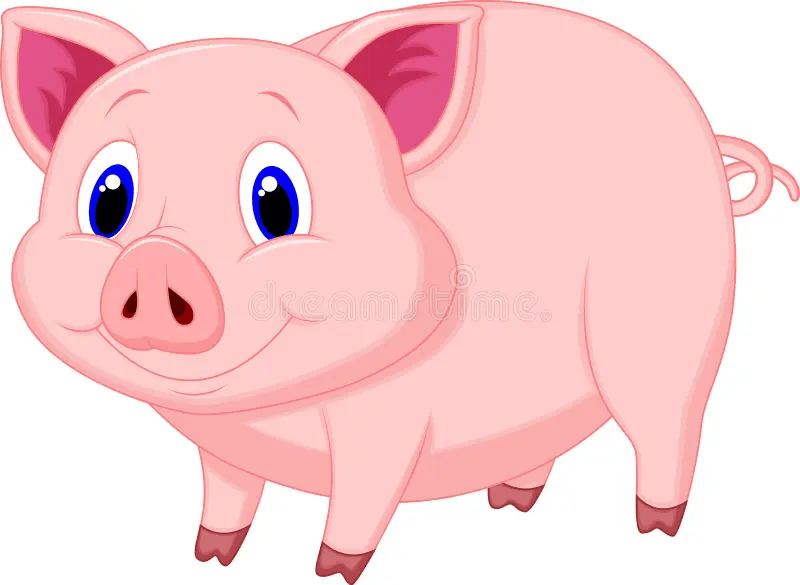 pig